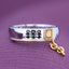 Anillo Ajustable Jotaro Kujo - Jojo's