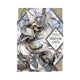 Manga Atelier Of Witch Hat