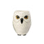 Taza 3D Hedwig (Lechuza) - Harry Potter